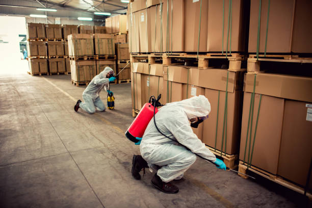 Best Affordable Pest Control Services  in Davison, MI