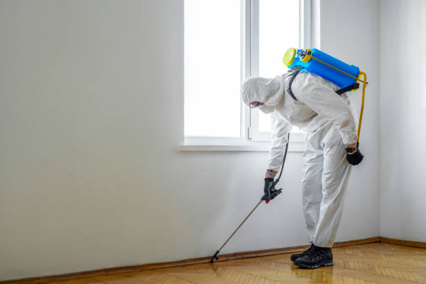 Best Pest Control Near Me  in Davison, MI