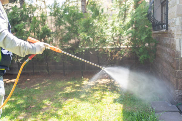 Best Mosquito Control Services  in Davison, MI