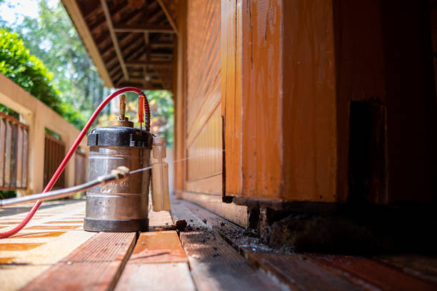 Best Best Pest Control Companies  in Davison, MI