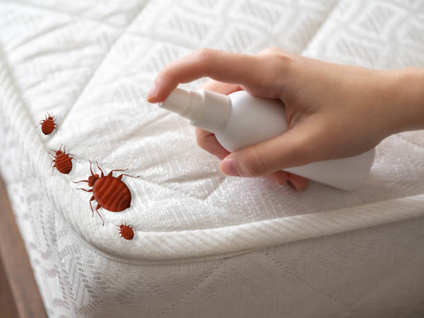 Best Best Pest Control Companies  in Davison, MI