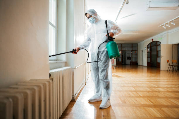 Reliable Davison, MI Pest Control Solutions